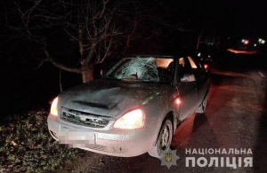 Йшов по дорозі в темряві: в Житомирській області легковик на смерть збив чоловіка