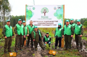 Зелений рекорд: у Житомирській області висадили найбільшу кількість дерев