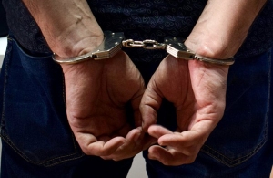Переховувався 8 років: поліція затримала іноземця, що обкрадав квартири в Житомирі