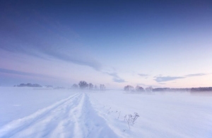 У Житомирській області 17-річний хлопець на смерть замерз посеред поля