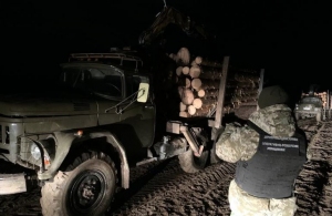 На Житомирщині в прикордонній зоні затримали вантажівки, що перевозили крадений ліс