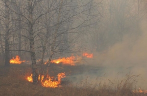 На Житомирщині троє пенсіонерів отримали серйозні опіки, спалюючи суху траву