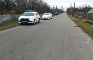 Водій Skoda вбив людину і втік з місця ДТП: власником автівки виявився поліцейський