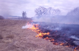 Мешканців Житомирської громади закликають не спалювати суху траву: штраф від 3060 грн