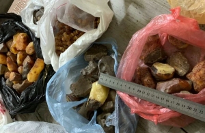 СБУ затримала на Житомирщині «бурштинового бізнесмена»: вилучили понад 50 кг каміння. ФОТО
