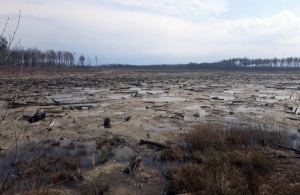 На півночі Житомирщини відновився незаконний видобуток бурштину
