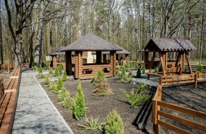 У лісах Житомирщини відкривають спеціальні зони для відпочинку та пікніків. ФОТО