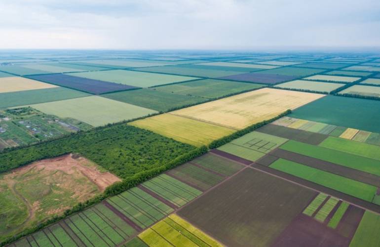 Зеленский подписал «земельную Конституцию»: что предусматривает важный закон
