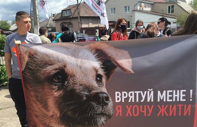 Зоозащитники из Житомира и Киева протестовали под стенами суда, где рассматривали дело коростышевского живодера. ФОТО