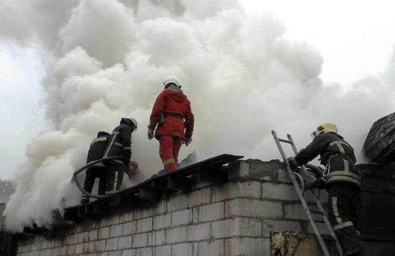 В Житомирской области молния сожгла сарай и едва не уничтожила дом