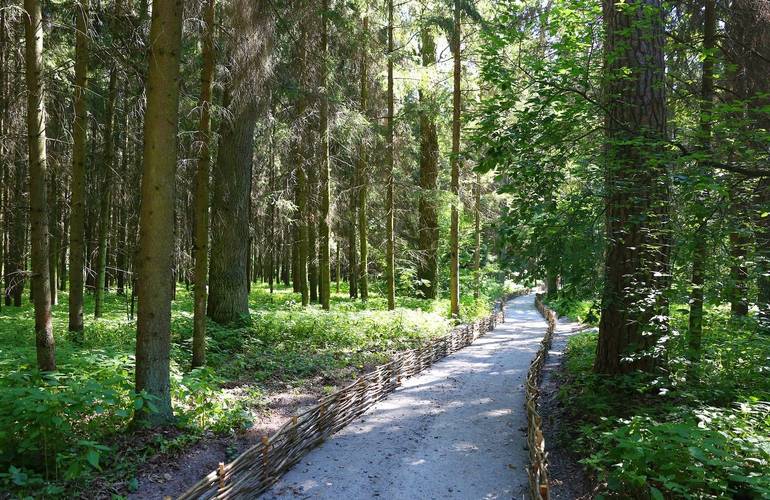«Интересно как детям, так и взрослым»: вблизи Житомира открыли рекреационную лесную тропу. ФОТО
