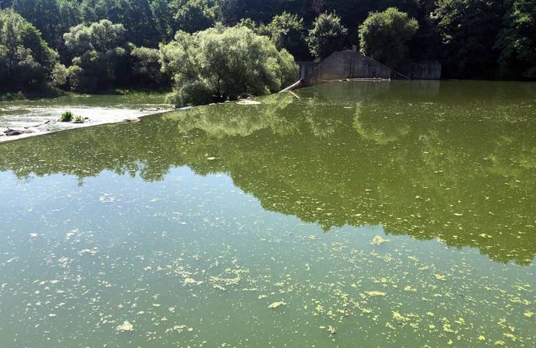 Экологи заявили, что водоканал снова загрязняет стоками Тетерев