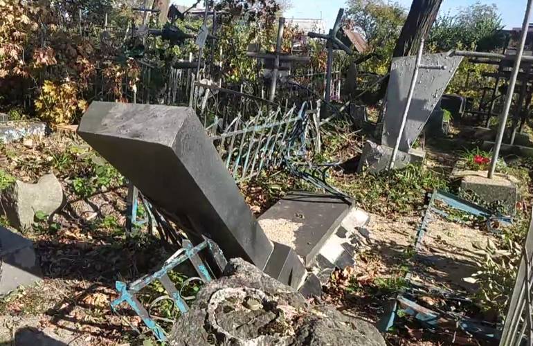 Без уважения к умершим: на кладбище в Житомире спиленные деревья повредили надгробия. ВИДЕО