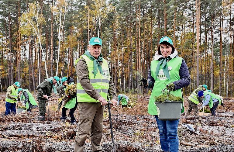 За один день в Житомирской области высадили 1 000 000 деревьев