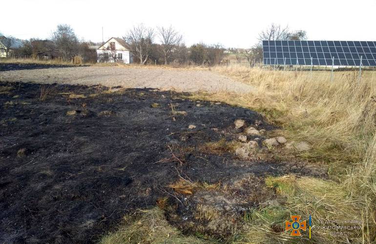 На Житомирщине погиб мужчина, сжигая сухостой во дворе