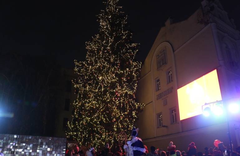 Главная новогодняя елка Житомира снова будет на улице Михайловской
