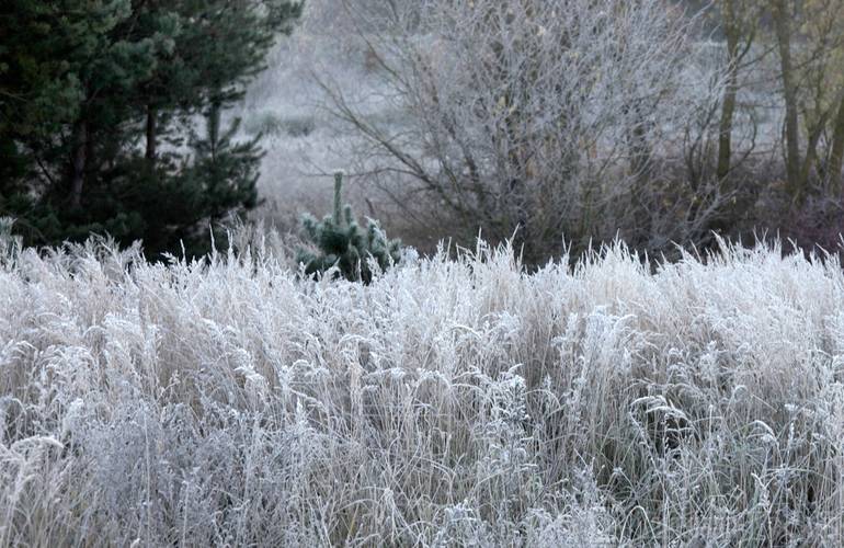 Житомирян предупреждают о заморозках: ночью до 9 градусов мороза