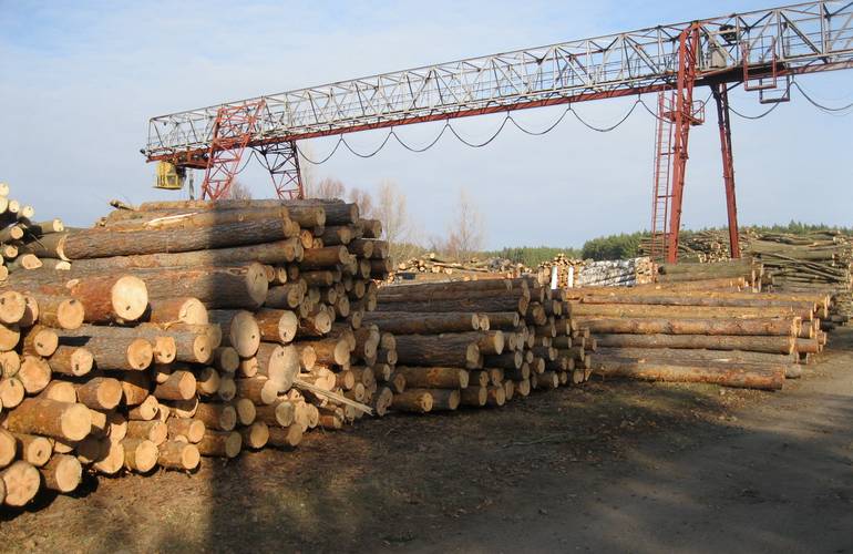 В Житомирской области обнаружена нелегальная биржа, на которой незаконно торговали лесопродукцией