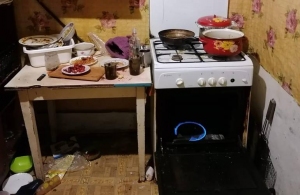 Включила духовку і пішла з дому: на Житомирщині у жінки вилучили трьох дітей