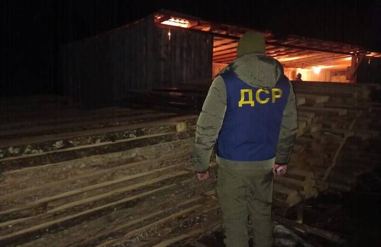 Под Житомиром полиция «накрыла» пилораму, на которой обрабатывали краденый лес. ФОТО
