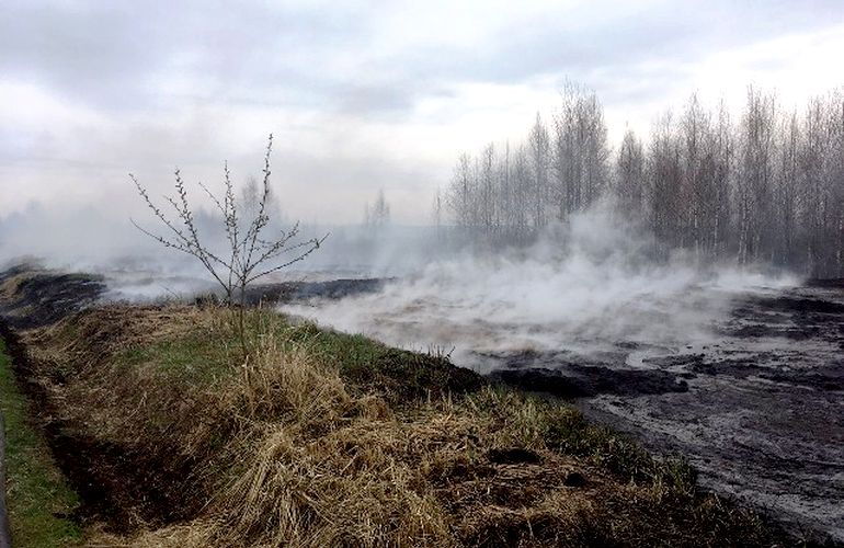 На тушение торфяного пожара в Житомирской области ушла почти неделя