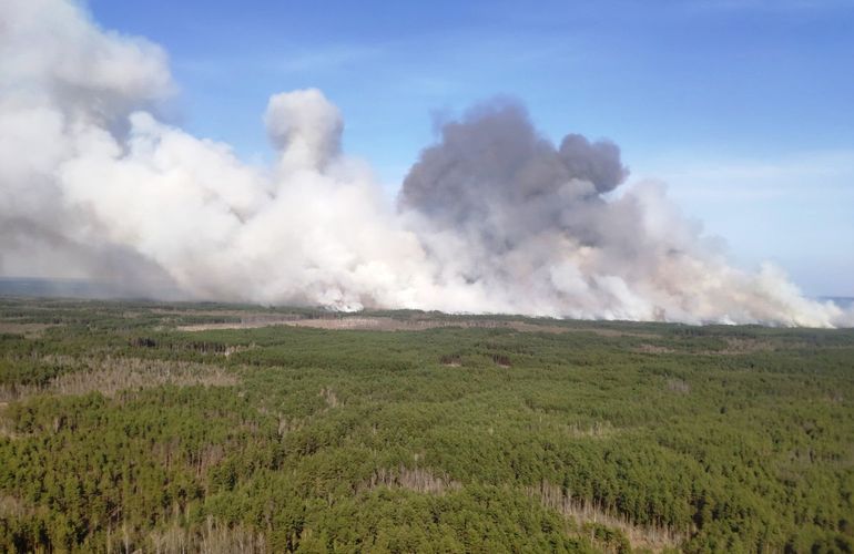 В Житомирской области горят леса: пожар тушат более 200 человек и авиация. ФОТО