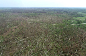 Смерч на Житомирщині повалив сотні га лісу. В області можуть оголосити надзвичайну ситуацію. ФОТО