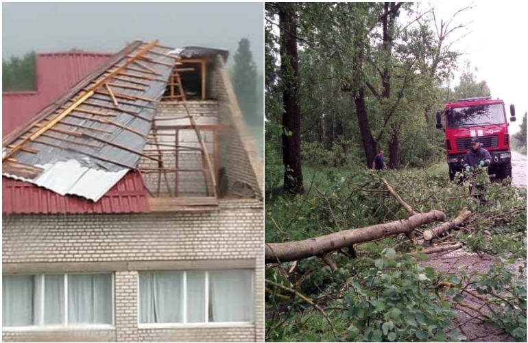Сорванные крыши и поваленные деревья: ураган наделал беды на Житомирщине. ФОТО
