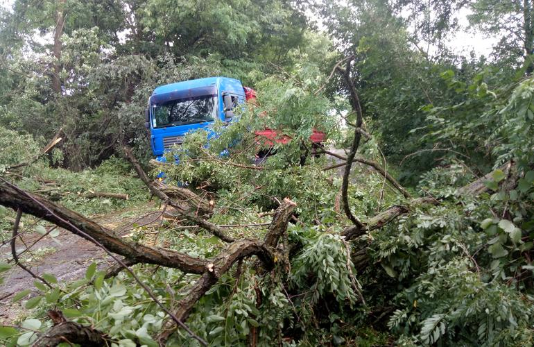 В Житомирской области свирепствовала непогода. Деревья заблокировали движение транспорта, села без света. ФОТО