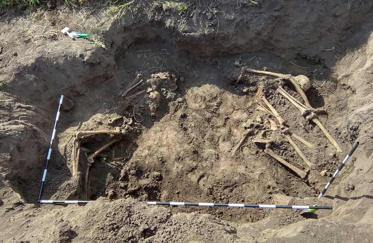 В Житомирской области обнаружили братскую могилу солдат, погибших в 1941 году. ФОТО