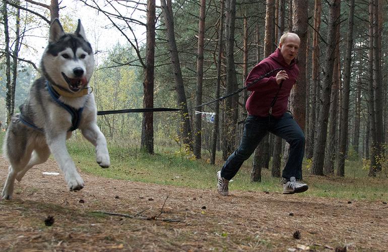 Впервые в Житомире состоится забег с собаками