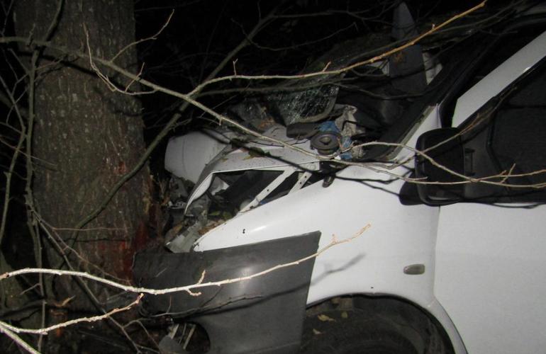 В Житомирской области Mercedes протаранил дерево: водитель погиб, четверо детей в больнице