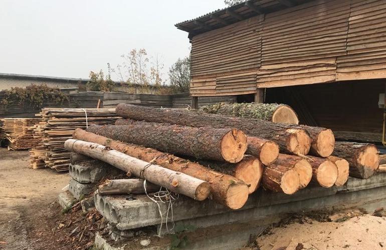 На лесопилках в Житомирской области провели обыски и обнаружили незаконную древесину. ФОТО