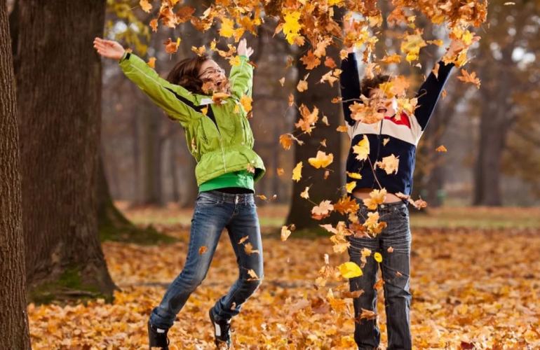 Школьные каникулы в Житомире начнутся с 23 октября