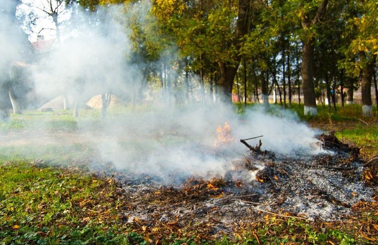 Житомирян предупреждают о высокой пожарной опасности и призывают не сжигать листья