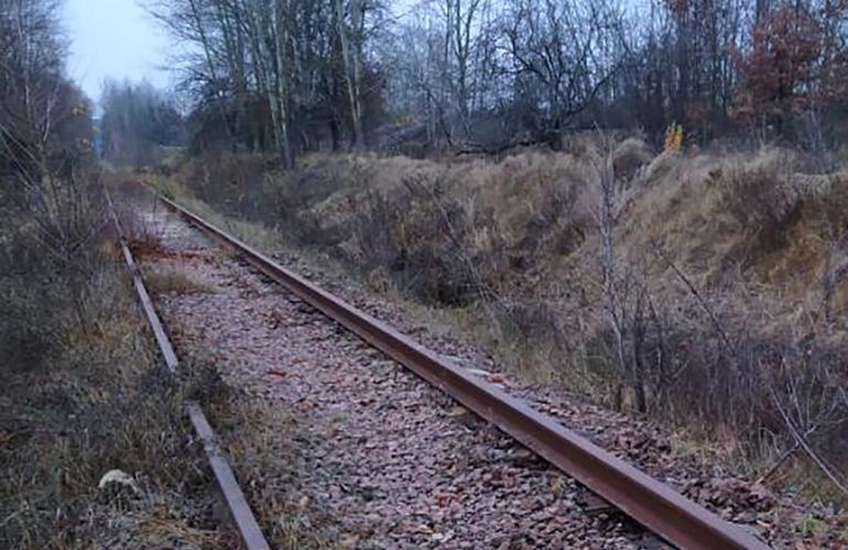 «Думал, что не заметят»: в пригороде Житомира мужчина разбирал железнодорожные пути. ФОТО
