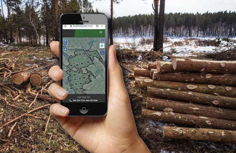 «Лес в смартфоне»: в Житомирской области можно проверить, Законно ли вырубывают деревья