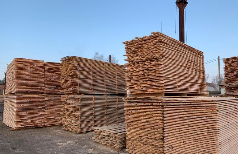 Полиция и СБУ проводят обыски на лесоперерабатывающих предприятиях Житомирщины