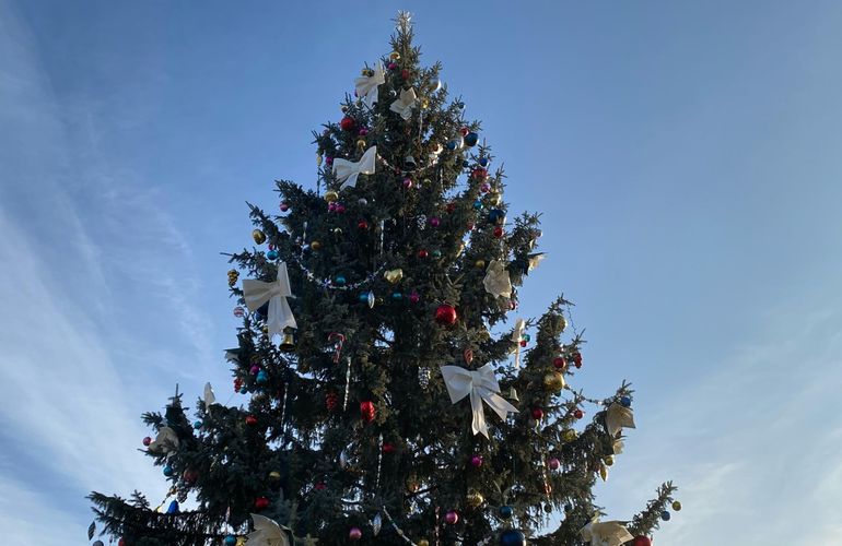 Житомирян приглашают сегодня на открытие главной новогодней елки города