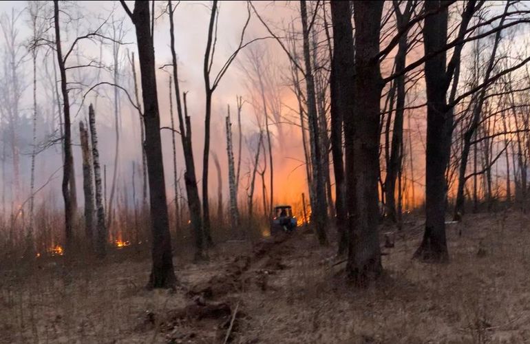 Поджог травы на Житомирщине привел к масштабному пожару, который тушили 90 человек. ФОТО