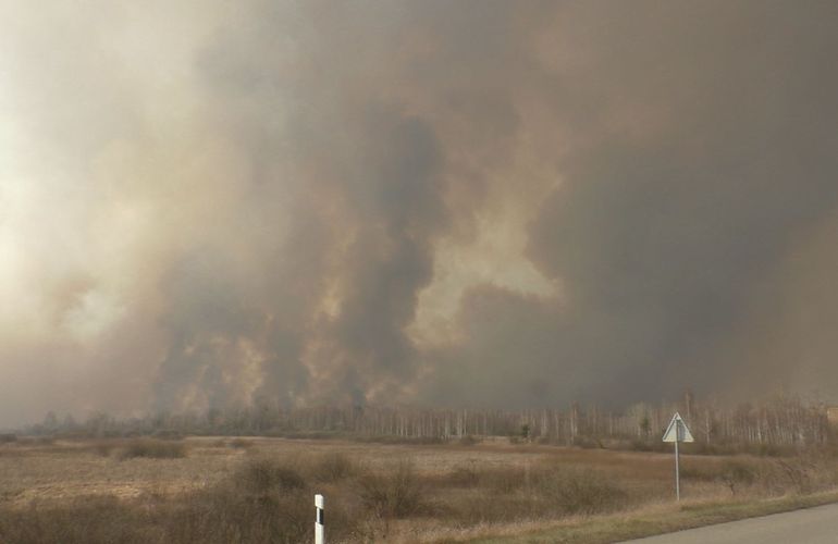 В Житомирской области удалось локализовать все большие лесные пожары