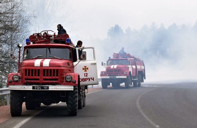 Названы две версии возникновения пожаров в Житомирской области