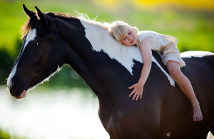 Організація, яка використовує коней для реабілітації маленьких житомирян, потребує допомоги