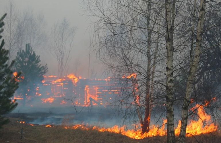 Названа вероятная причина масштабных пожаров в Житомирской области