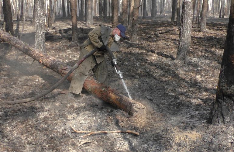 Пожары на севере Житомирщины: ликвидировали очаги, которые пылали с середины апреля