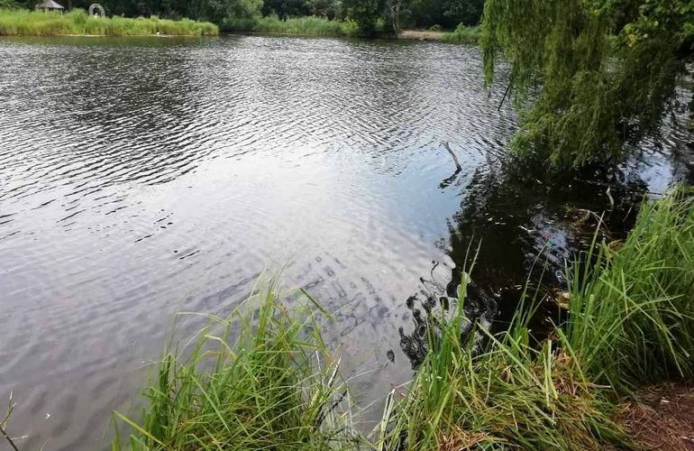 В Житомирской области подростки спасли мужчину, который упал в водоем
