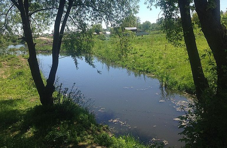 В житомирскую реку сливают нечистоты из жилых домов – экологи