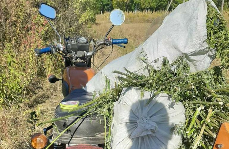 Житель Житомирщины перевозил в мотоцикле 50 кг конопли и попался на глаза полиции. ФОТО