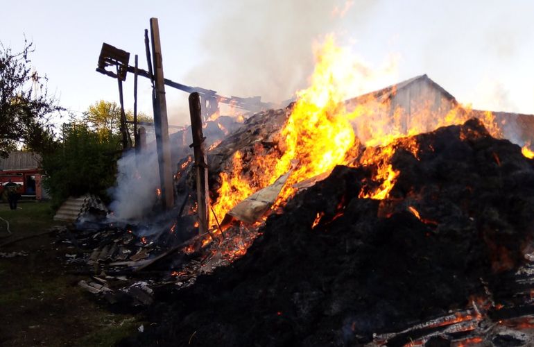 На Житомирщине 7-летний мальчик получил ожоги, пытаясь самостоятельно потушить пожар