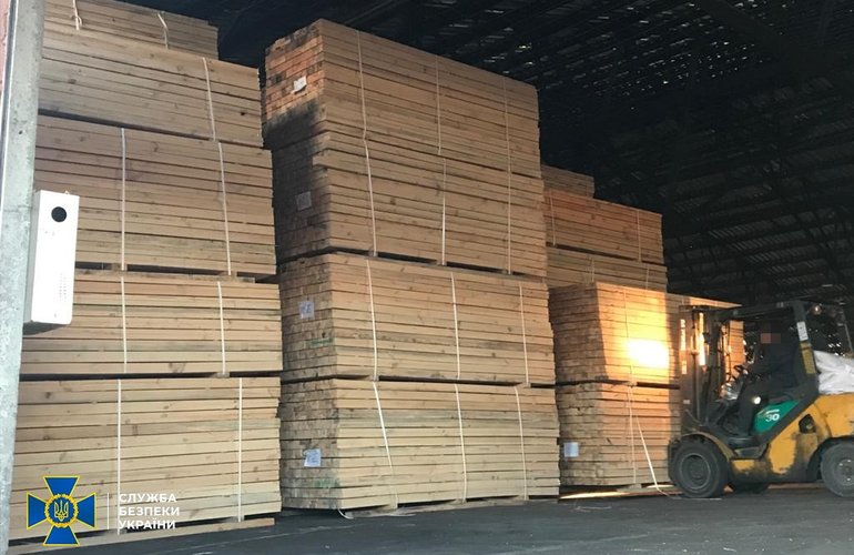 Житомирскую древесину незаконно продавали в Азию: разоблачена многомиллионная схема